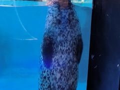 -正佳极地海洋世界