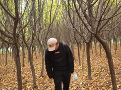 -汉景帝阳陵博物院