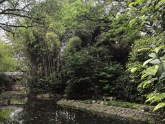 -八大山人梅湖景区