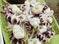 芥末海菊花-贞姨美食·老字号海鲜大排档