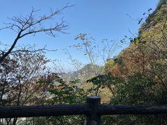 -少华山国家森林公园