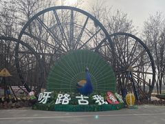 -呀路古热带植物园
