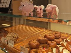 -WHEN PIGS FLY当猪飞