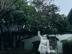 -常熟方塔园