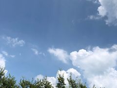 -天目湖松岭竹海漂流