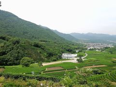 -听风阁农家私房菜茶楼(龙坞店)