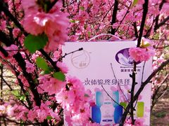 -长春公园(普阳街道)