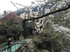 -东林大峡谷