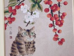 -美迦爱动物医院·夜诊(朝阳路诊疗中心)