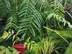 -国家植物园南园