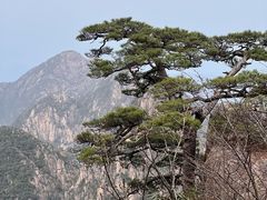 -黄山白云宾馆