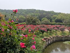 -龙寺生态园