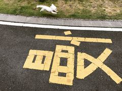 -西昌邛海湾柏樾酒店(原邛海湾柏栎度假酒店)