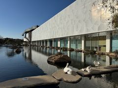 -罗红摄影艺术馆