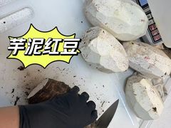 -面包日报