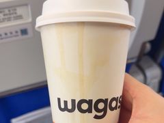 -Wagas沃歌斯(虹桥机场T1店)