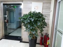 -凡碧诗毛孔清洁收细