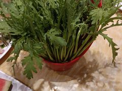 -清真军邺·金富苑肥牛(石坡街旗舰店)