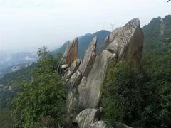 -南山植物园