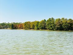 -上海海湾国家森林公园