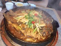 -老板恋上鱼(恒隆广场店)