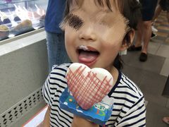 -野人先生现做冰淇淋(西安赛格店)