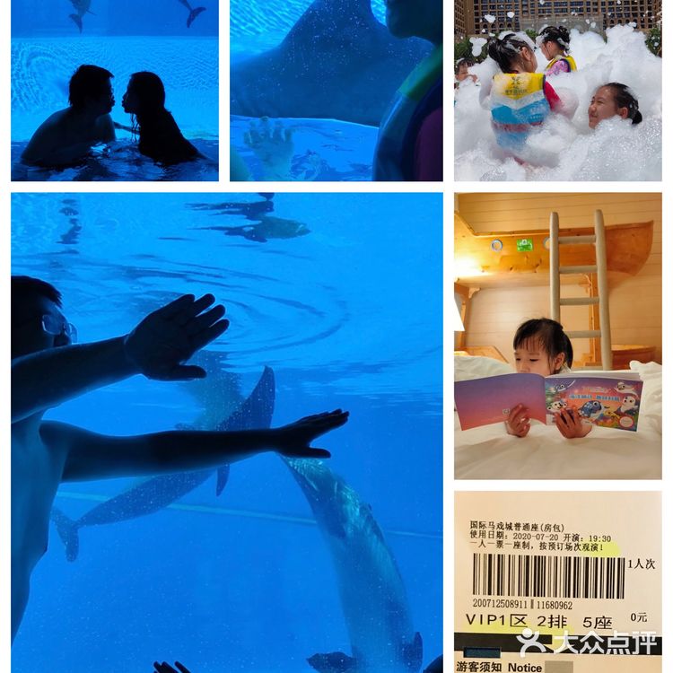 珠海长隆选亲子酒店，🐧+🐬>2