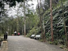 -滴水岩森林公园
