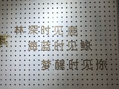-白日梦奶茶