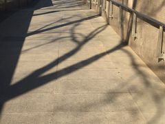 -金逸影城(中关村店)