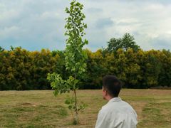 -白鹭湾湿地公园