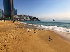 -海云台海滩