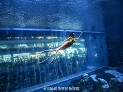 -成都浩海立方海洋公园