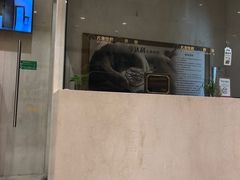 -亨达利名表维修中心(南西店)