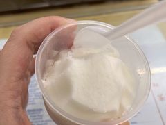 椰子雪糕-洪馨椰子