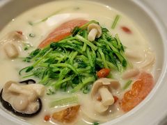 鱼汤浸时蔬-伯衡55·吉品轩(乌鲁木齐南路店)