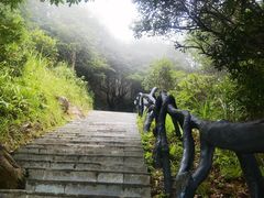 -梧桐山风景名胜区