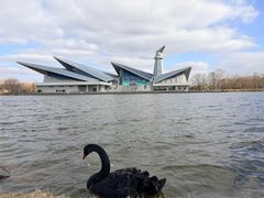 -盐城丹顶鹤湿地生态旅游区