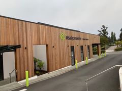 -怀托摩萤火虫洞