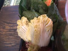 -九鼎轩脆毛肚火锅(三钢里店)
