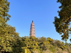 -顺峰山公园