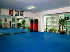 -国际咏春拳联合会拳馆俱乐部