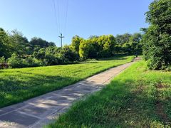 -张坝桂圆林公园