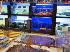 水产区-苏福记·海鲜佬(凤城四路店)