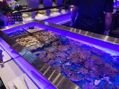 -SEA西雅图海鲜自助餐厅(海乐世界店)