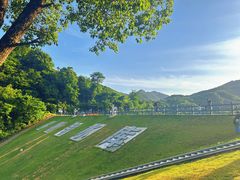 -龙坞茶村