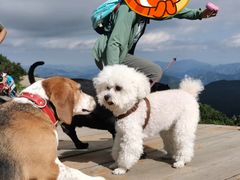 -白草畔自然风景区