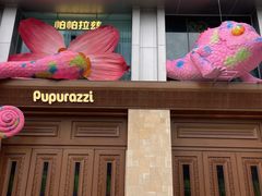 -帕帕拉兹宠物(亚洲旗舰店)