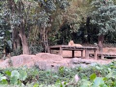 -广州长隆野生动物世界