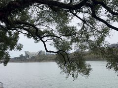 -桂林两江四湖景区